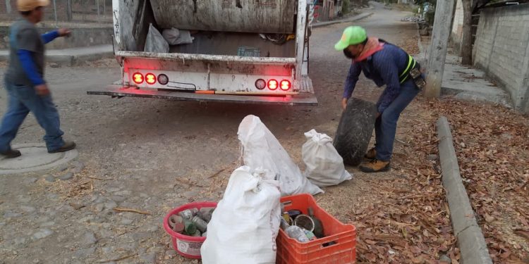 Ayuntamiento de Colima recoge 300 toneladas de ramas y troncos