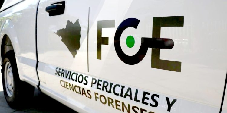 Macabro hallazgoLocalizan cuerpo descuartizado en barrio 1 del Valle