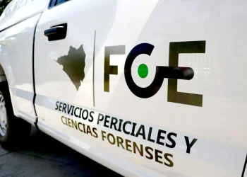 Macabro hallazgoLocalizan cuerpo descuartizado en barrio 1 del Valle