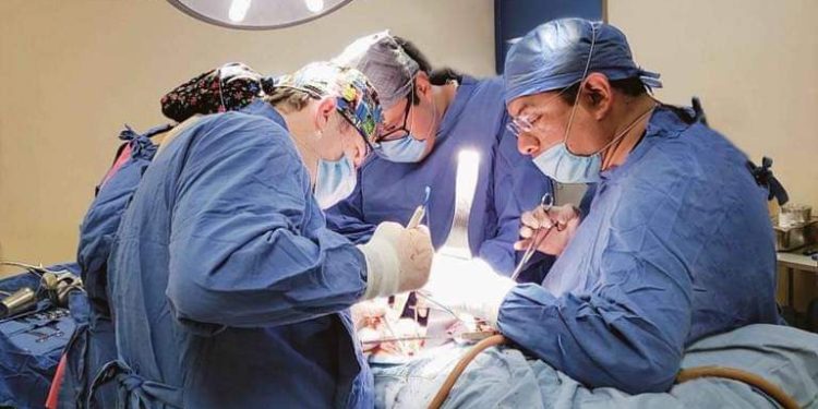 Riñón, el órgano que más se puede trasplantar: Salud Colima