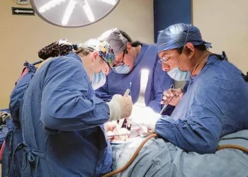 Riñón, el órgano que más se puede trasplantar: Salud Colima