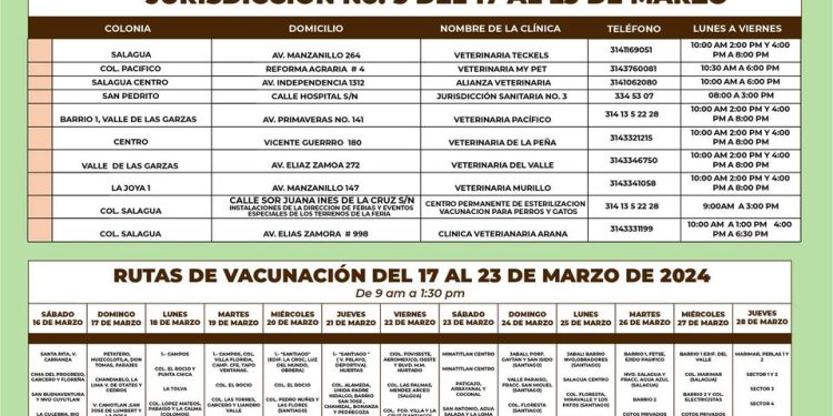 ¡Mantengamos a nuestras mascotas protegidas! “Gobierno Colima”