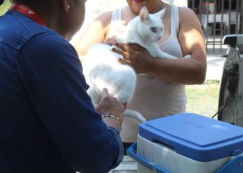Mantienen vacunación antirrábica; hay puntos fijos en los Centros de Salud