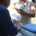 Mantienen vacunación antirrábica; hay puntos fijos en los Centros de Salud