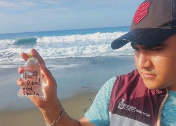 Playas del estado de Colima son aptas para bañistas