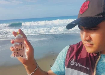 Playas del estado de Colima son aptas para bañistas