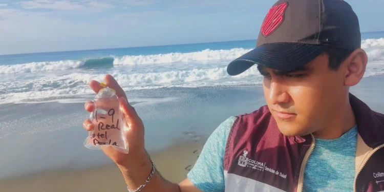 Playas del estado de Colima son aptas para bañistas