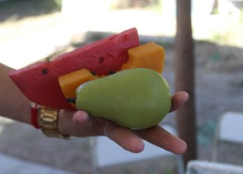 Recomiendan cuidados para tener riñones sanos; Centros de Salud realizan estudios