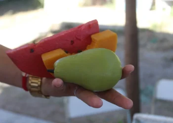 Recomiendan cuidados para tener riñones sanos; Centros de Salud realizan estudios