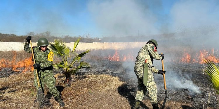 UEPC exhorta a la población a evitar acciones que originen incendios forestales