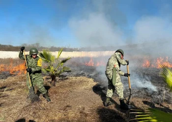 UEPC exhorta a la población a evitar acciones que originen incendios forestales