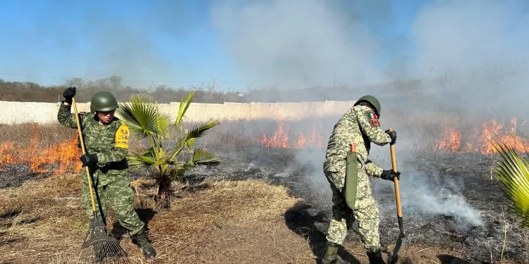 UEPC exhorta a la población a evitar acciones que originen incendios forestales