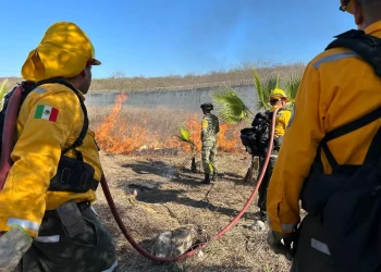Colima registra 51 incendios forestales este año; UEPC pide evitar originarlos