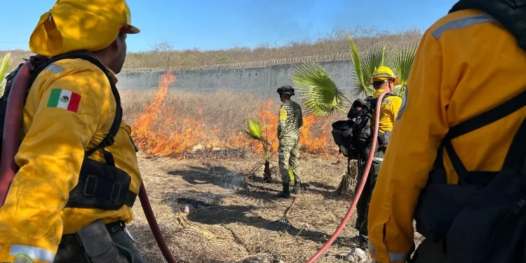 Colima registra 51 incendios forestales este año; UEPC pide evitar originarlos