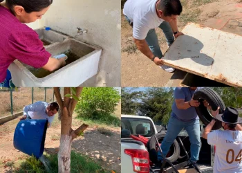 No se ha confirmado ningún deceso por dengue en el estado de Colima