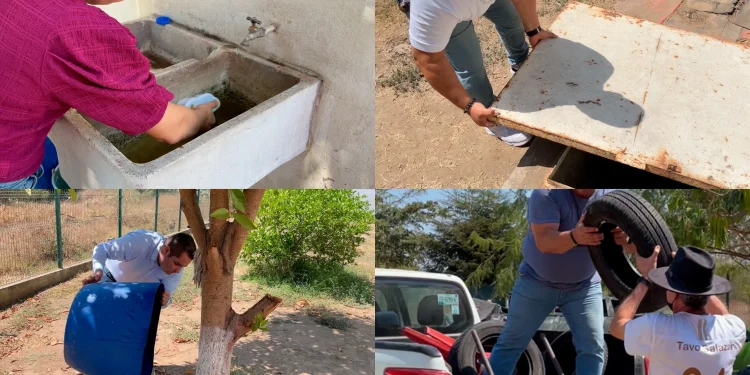 No se ha confirmado ningún deceso por dengue en el estado de Colima