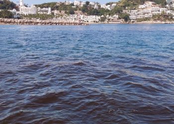Detectan marea roja no tóxica en bahías de Manzanillo; no afecta a humanos