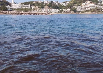 Detectan marea roja no tóxica en bahías de Manzanillo; no afecta a humanos
