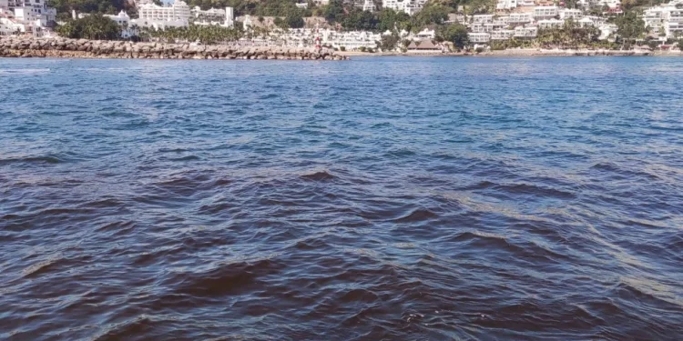 Detectan marea roja no tóxica en bahías de Manzanillo; no afecta a humanos
