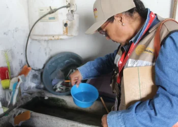Intensifica Salud acciones contra el dengue en 5 municipios de riesgo