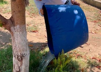 Exhorta Salud a mantener medidas preventivas para abatir casos de dengue