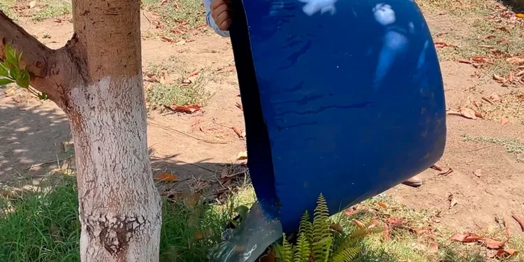 Exhorta Salud a mantener medidas preventivas para abatir casos de dengue