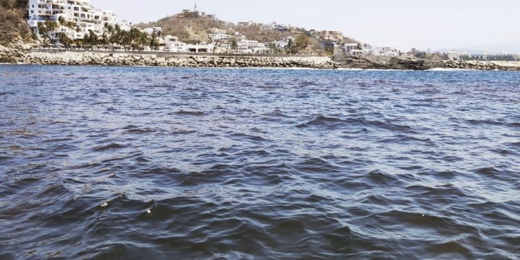 Alerta Salud: detecta microalgas productoras de toxinas paralizantes en Bahías de Manzanillo