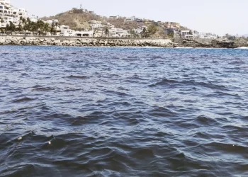 Alerta Salud: detecta microalgas productoras de toxinas paralizantes en Bahías de Manzanillo