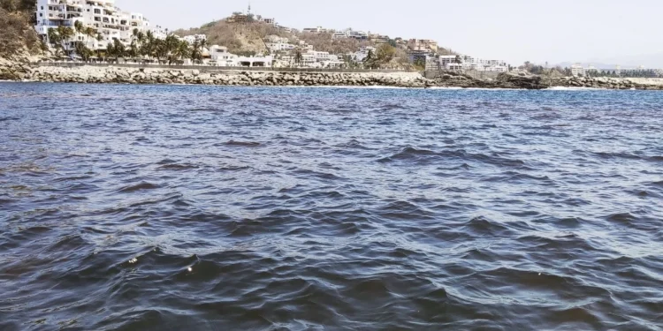 Alerta Salud: detecta microalgas productoras de toxinas paralizantes en Bahías de Manzanillo