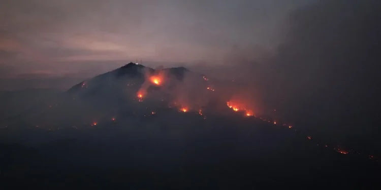 126 combatientes de UEPC y dependencias federales continúan desplegados combatiendo incendios en Manzanillo