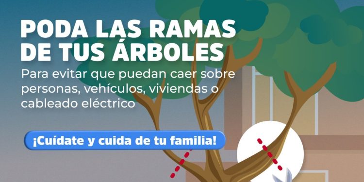 Importante realizar acciones preventivas previo a lluvias y ciclones tropicales