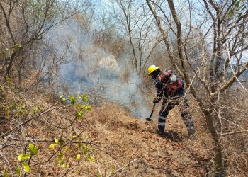 Controlados al 80% incendios forestales en el Cerro del Toro, en Manzanillo
