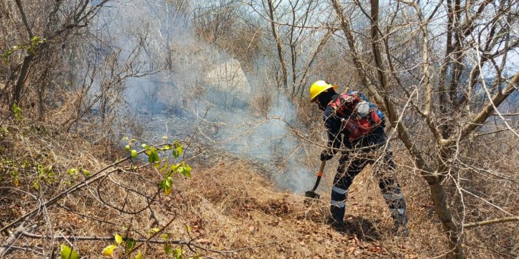 Controlados al 80% incendios forestales en el Cerro del Toro, en Manzanillo