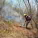 Controlados al 80% incendios forestales en el Cerro del Toro, en Manzanillo