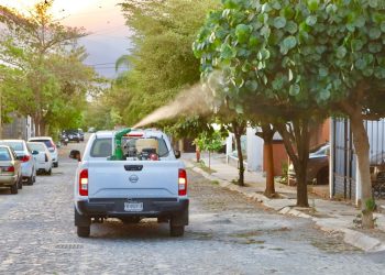 Salud nebuliza contra dengue, zika y chikungunya en Colima, Comala, Cuauhtémoc, Villa de Álvarez, Armería, Tecomán y Manzanillo