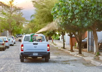 Salud nebuliza contra dengue, zika y chikungunya en Colima, Comala, Cuauhtémoc, Villa de Álvarez, Armería, Tecomán y Manzanillo