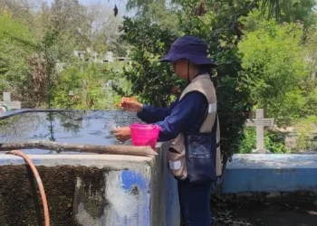 Buena respuesta a la estrategia contra dengue, zika y chikungunya