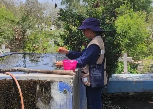 Buena respuesta a la estrategia contra dengue, zika y chikungunya