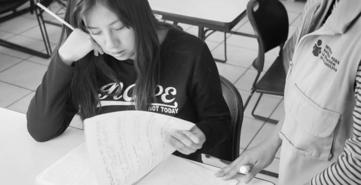 IEEA invita a personas voluntarias para alfabetizar; del 2 al 6 de mayo la recepción de documentos