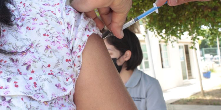 Colima se mantiene sin decesos por Covid-19 este año; se han acumulado 66 casos