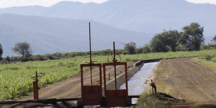 Invertirán más de 20 mdp en módulos y unidades de riego del estado de Colima