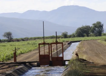 Invertirán más de 20 mdp en módulos y unidades de riego del estado de Colima