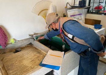 Continuo control larvario emergente en El Trapiche Cuauhtémoc, para reforzar acciones prioritarias