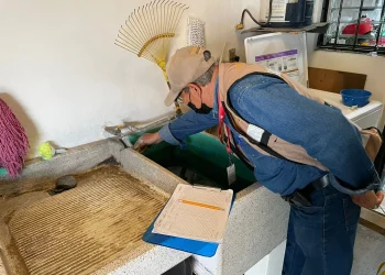 Continuo control larvario emergente en El Trapiche Cuauhtémoc, para reforzar acciones prioritarias