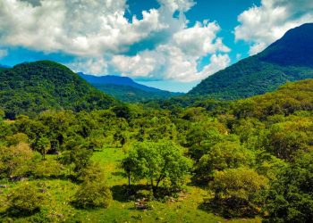 Gobierno de Colima trabaja para conservar su territorio y su basta biodiversidad: Imades