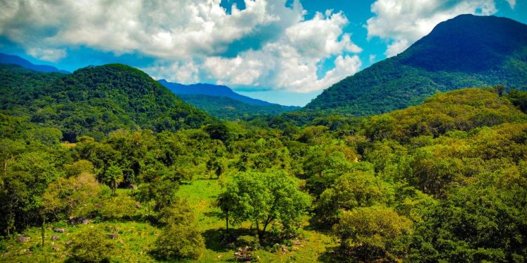 Gobierno de Colima trabaja para conservar su territorio y su basta biodiversidad: Imades