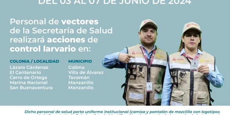 Vectores Colima sigue realizando control larvario contra dengue, zika y chikungunya