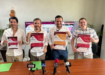 Trabajo Colima presenta programa de financiamiento para adquirir paneles solares