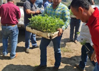 Subseder trabaja para lograr reconocimiento de Colima como Zona Libre de Plagas del Aguacate