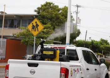 Protegen contra el dengue a 555 mil habitantes del estado de Colima con más de 160 mil acciones